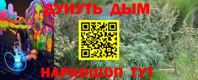 apvp Заволжье