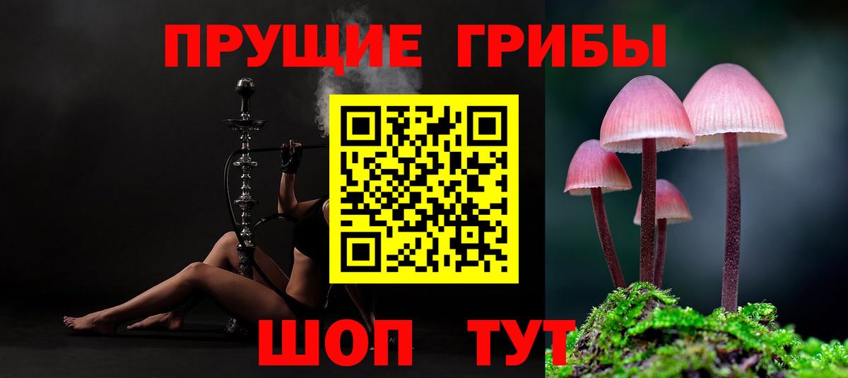 Псилоцибиновые грибы Cubensis  Вход с VPN  Михайловка 